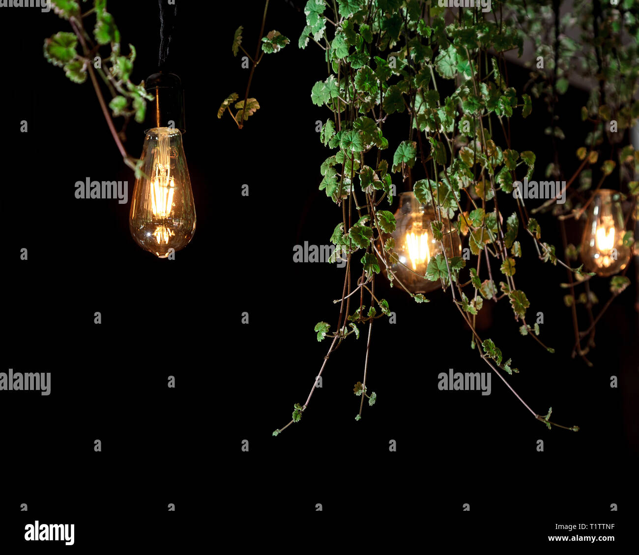 https www alamy es diseno de lamparas vintage de color amarillo y hojas verdes tropicales retro hermosa lampara luces de guirnaldas con luces de colores sobre fondo negro image242106075 html
