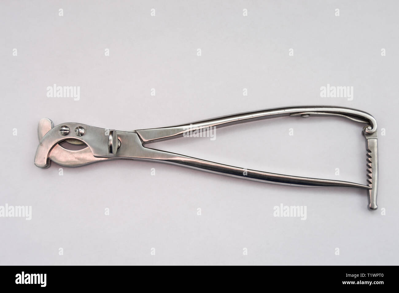 SAND'S Castrator Emasculator Instrumentos veterinarios Foto de stock
