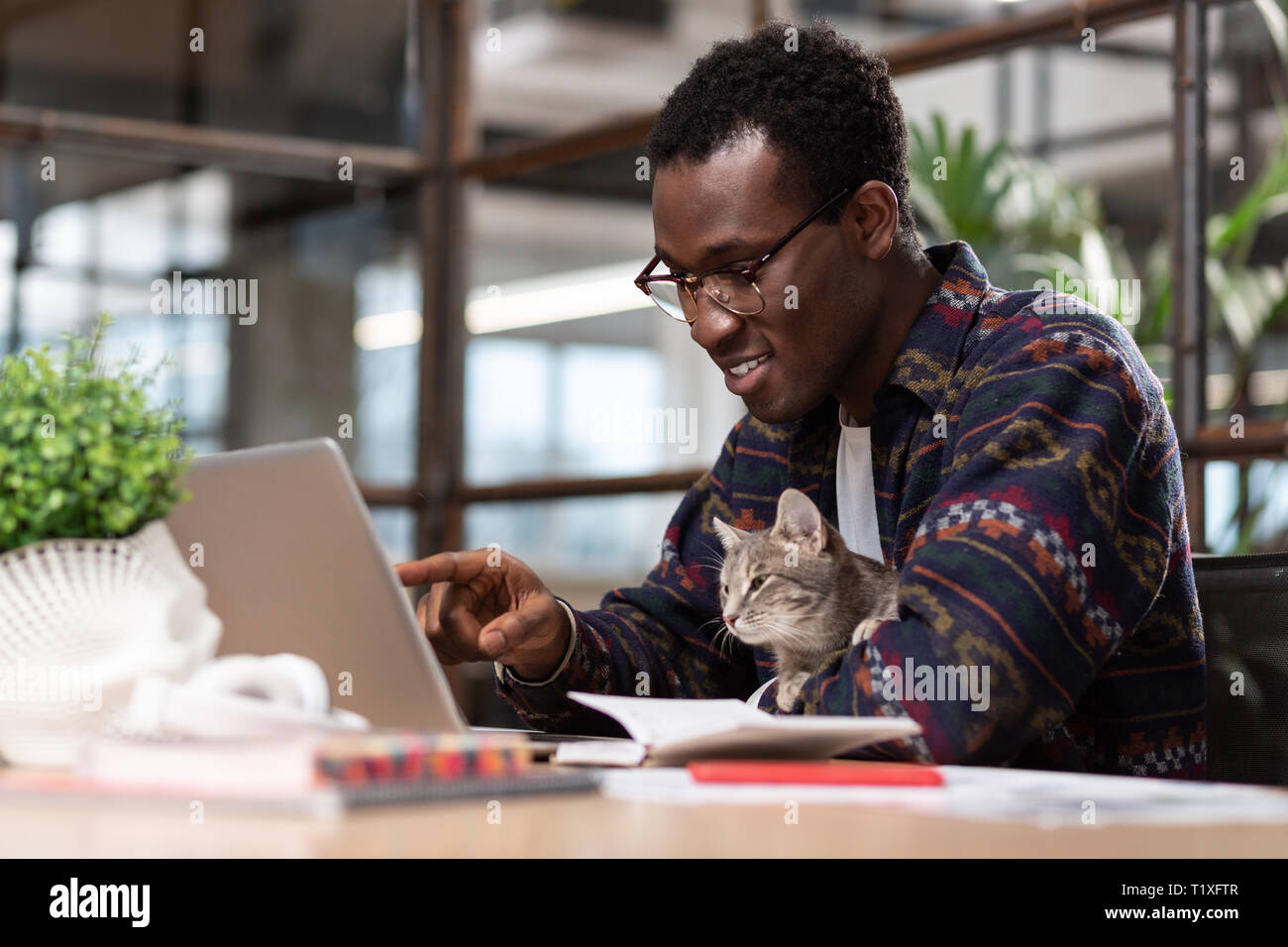 Hombre trabajando junto con su gato gris Foto de stock