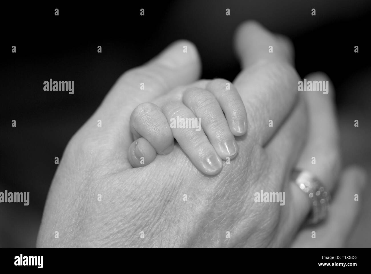 Abuela sosteniendo la mano de su nieto recién nacido, cerrar Foto de stock