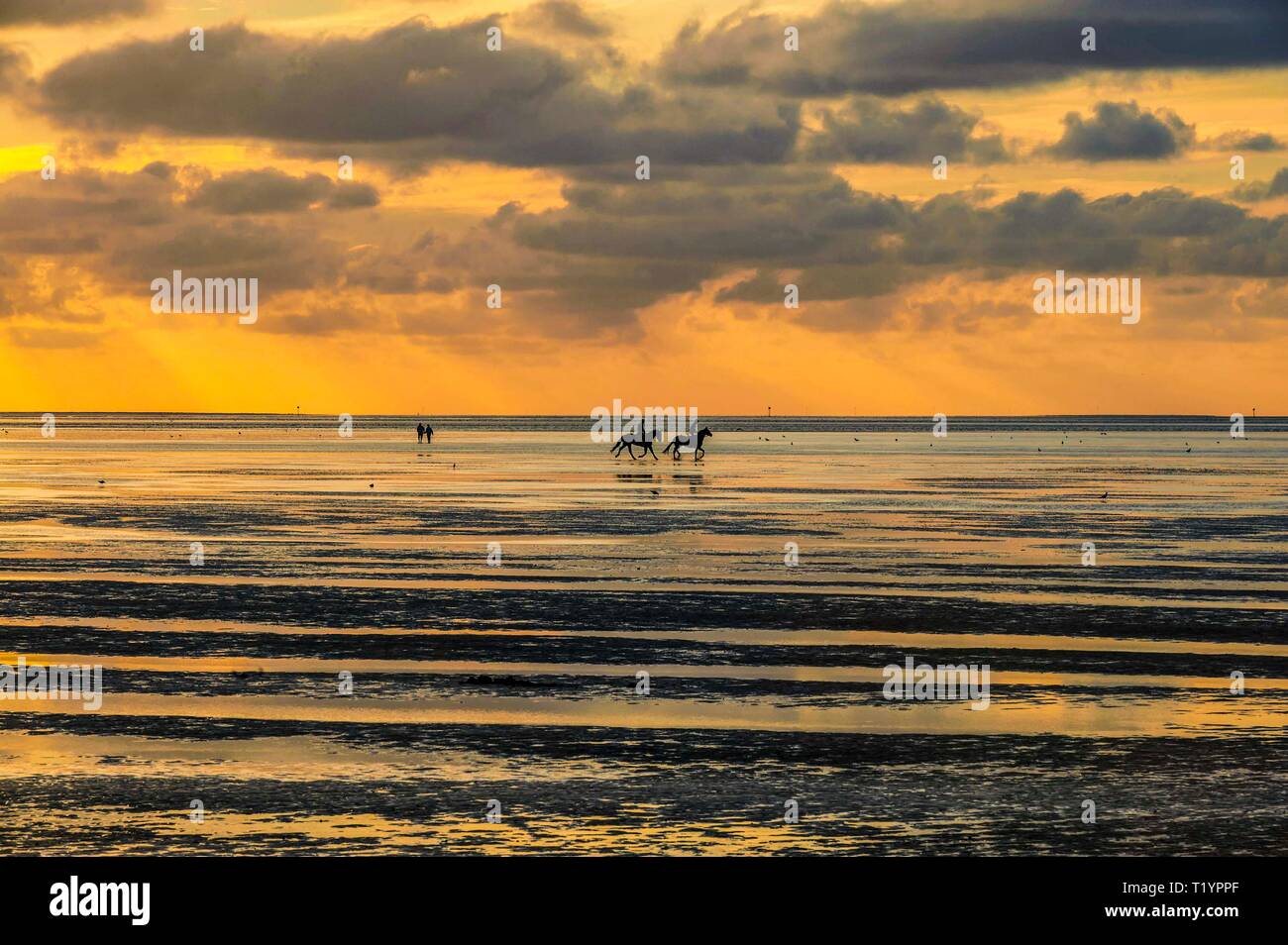 SAHLENBURG, Baja Sajonia, Alemania, ciclistas y caminantes en el mar de Wadden cerca Sahlenburg durante la puesta de sol con marea baja. Foto de stock