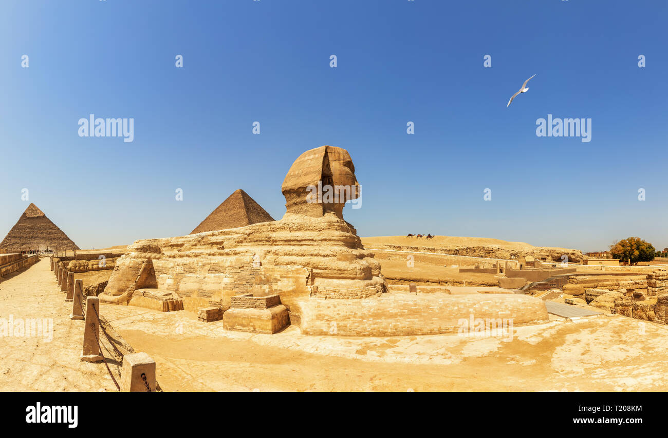 Pirámides de Giza, vista panorámica sobre la Esfinge y la pirámide de Keops y la Pirámide de Chephren Foto de stock