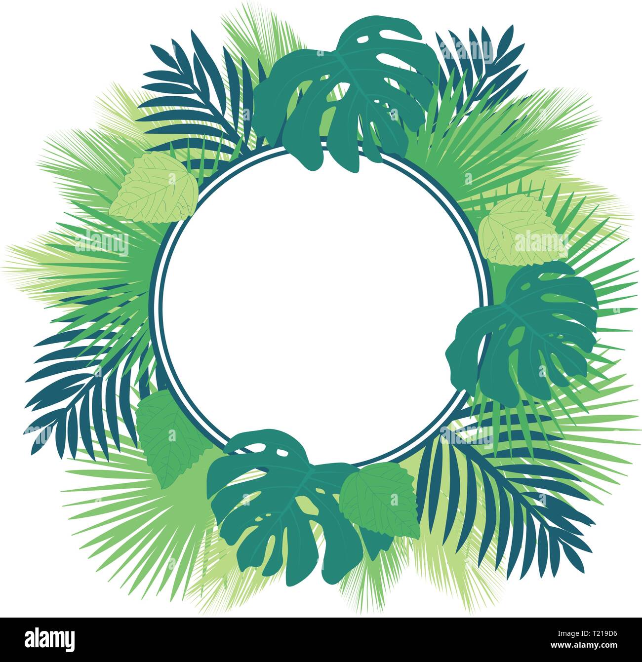 wallpapers Acuarela Vector Hojas Tropicales Png https www alamy es hojas tropicales vector frame image242203842 html