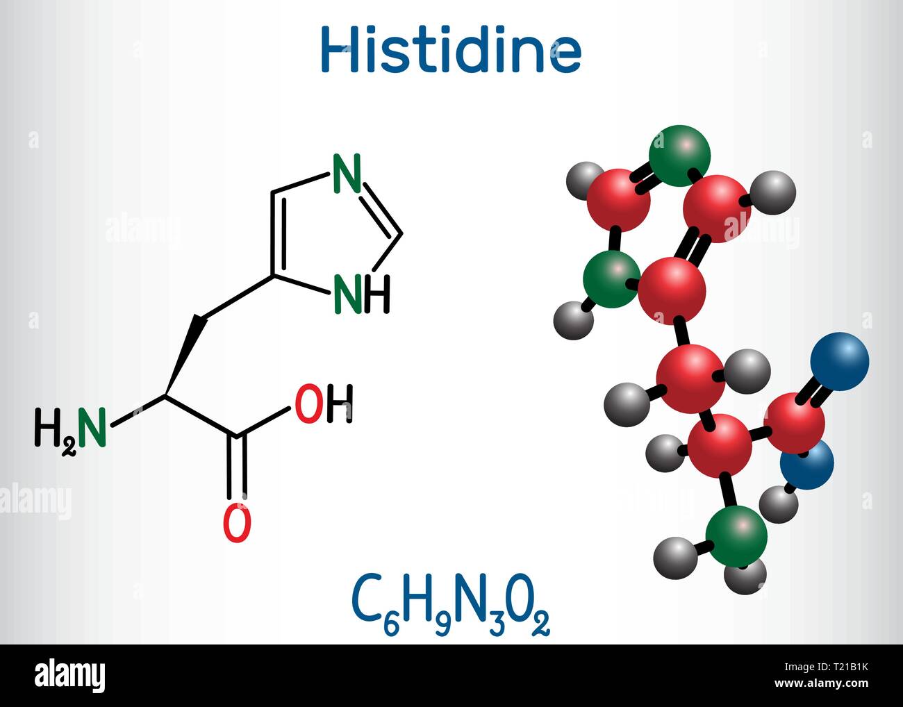 Histidina (Lhistidina , su H) aminoácidos molécula. Se utiliza en la