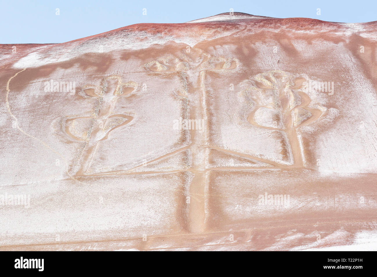 Detalle del famoso geoglifo llamado el candelabro perteneciente a la cultura Nasca y actualmente se encuentra en la península de Paracas en Pisco - Perú Foto de stock