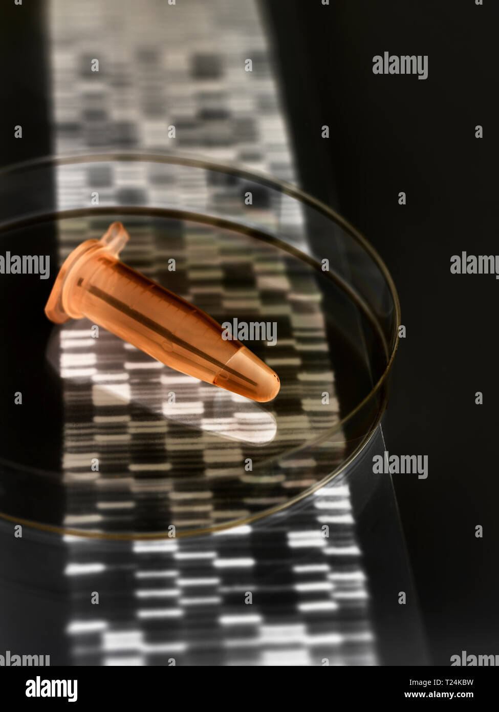 Eppendorf un frasco que contiene la muestra con el ADN humano autoradiogram resultados Foto de stock