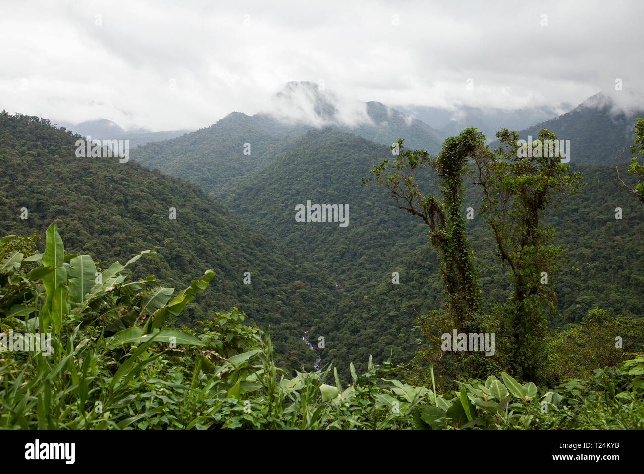 Vista panorámica del Parque Braulio Carrillo en Costa Rica Foto de stock