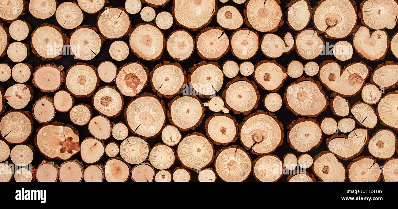 Papel tapiz: ancho de corte de madera redondeada está organizado para la  belleza natural de pared decorativos de estilo rústico Fotografía de stock  - Alamy