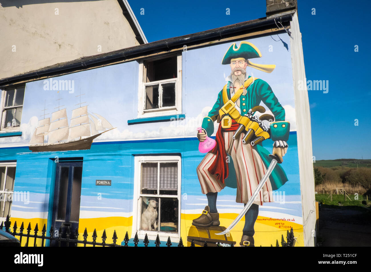 Arte Pared Mural Pirata Borth Rurales Playa Playa Vacaciones Costa