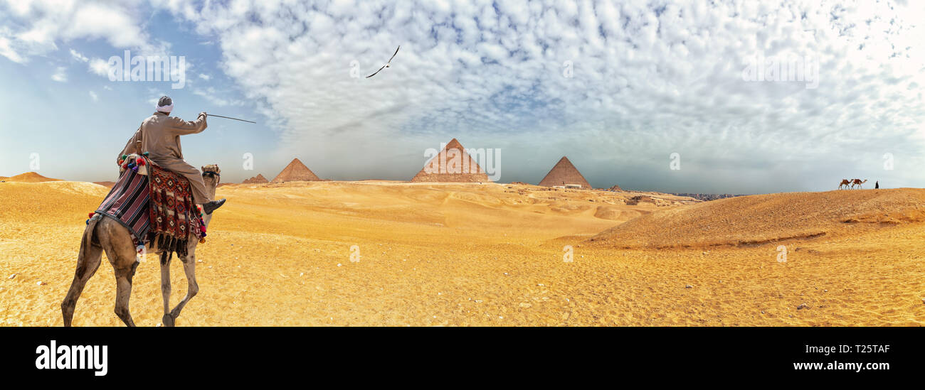 Panorama de las pirámides de Giza y un beduino en el camello, Egipto Foto de stock