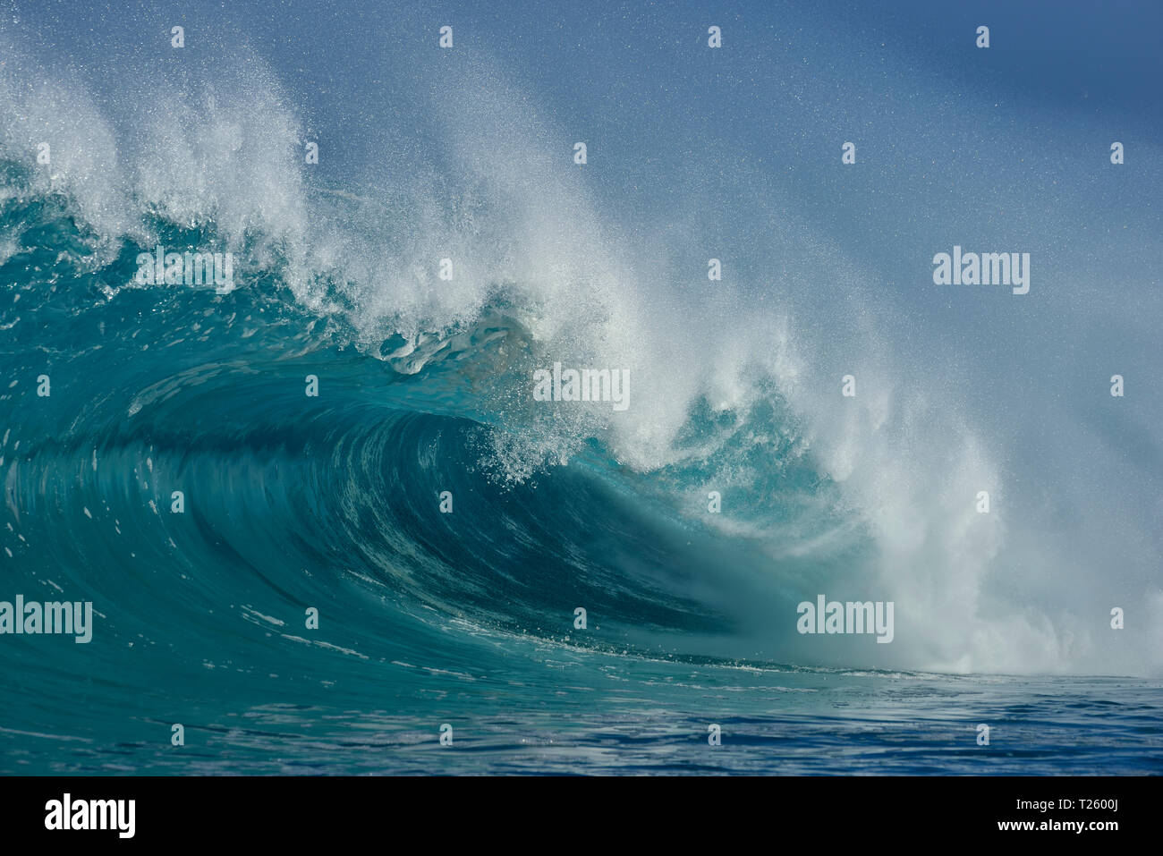 Impresionantes olas grandes. Oahu, Hawaii, Estados Unidos, Islas del Pacífico, Océano Pacífico. Foto de stock