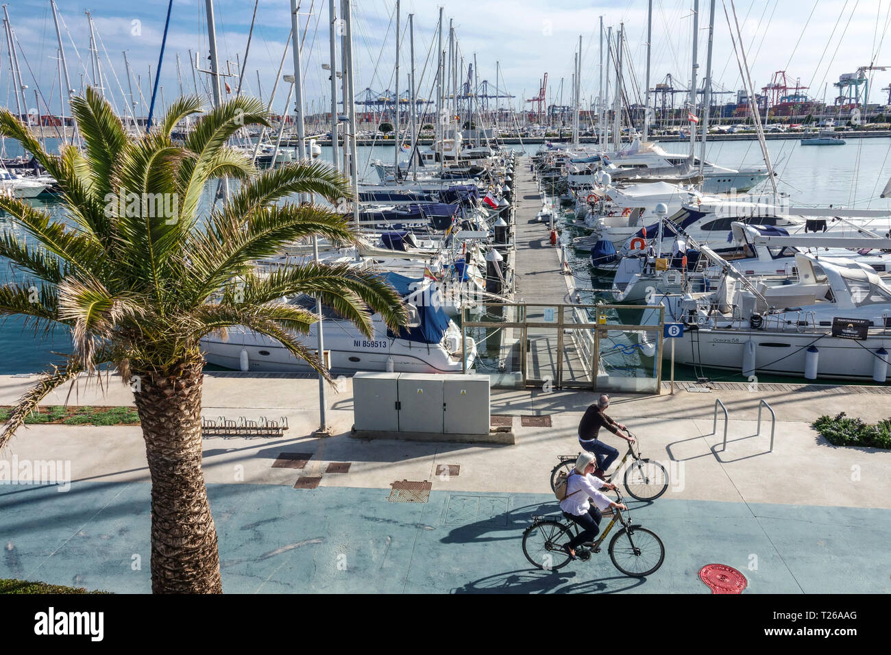 España Valencia puerto real turistas en bicicleta Yates de lujo y  embarcaciones en el puerto deportivo de Valencia Fotografía de stock - Alamy