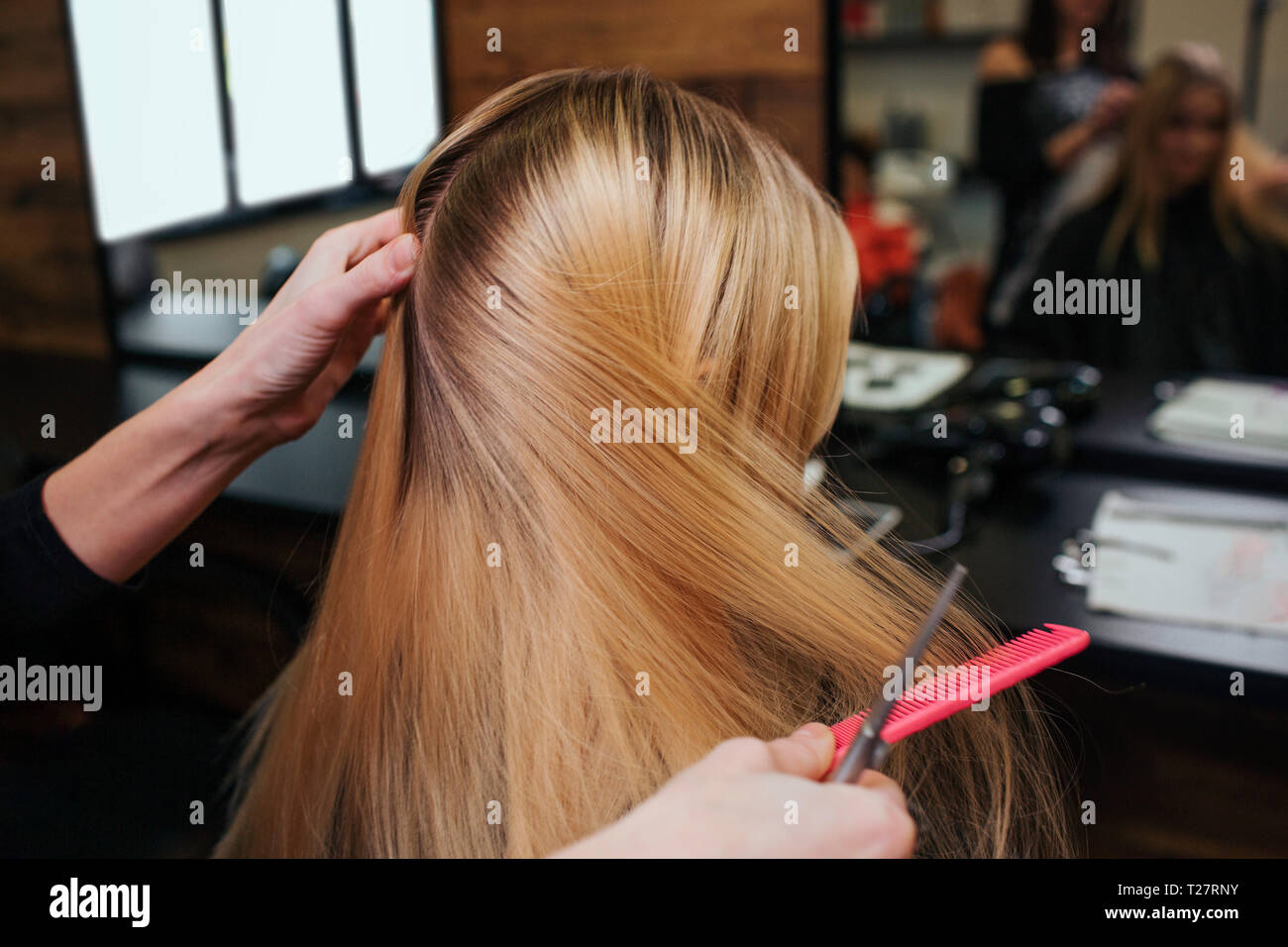 Peluquero manos peinando el cabello rubio antes de procedimientos para el cuidado del cabello en el salón de belleza Foto de stock