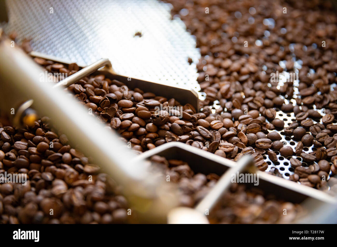 Vista lateral de los granos de café crudo en máquinas tostadoras Foto de stock