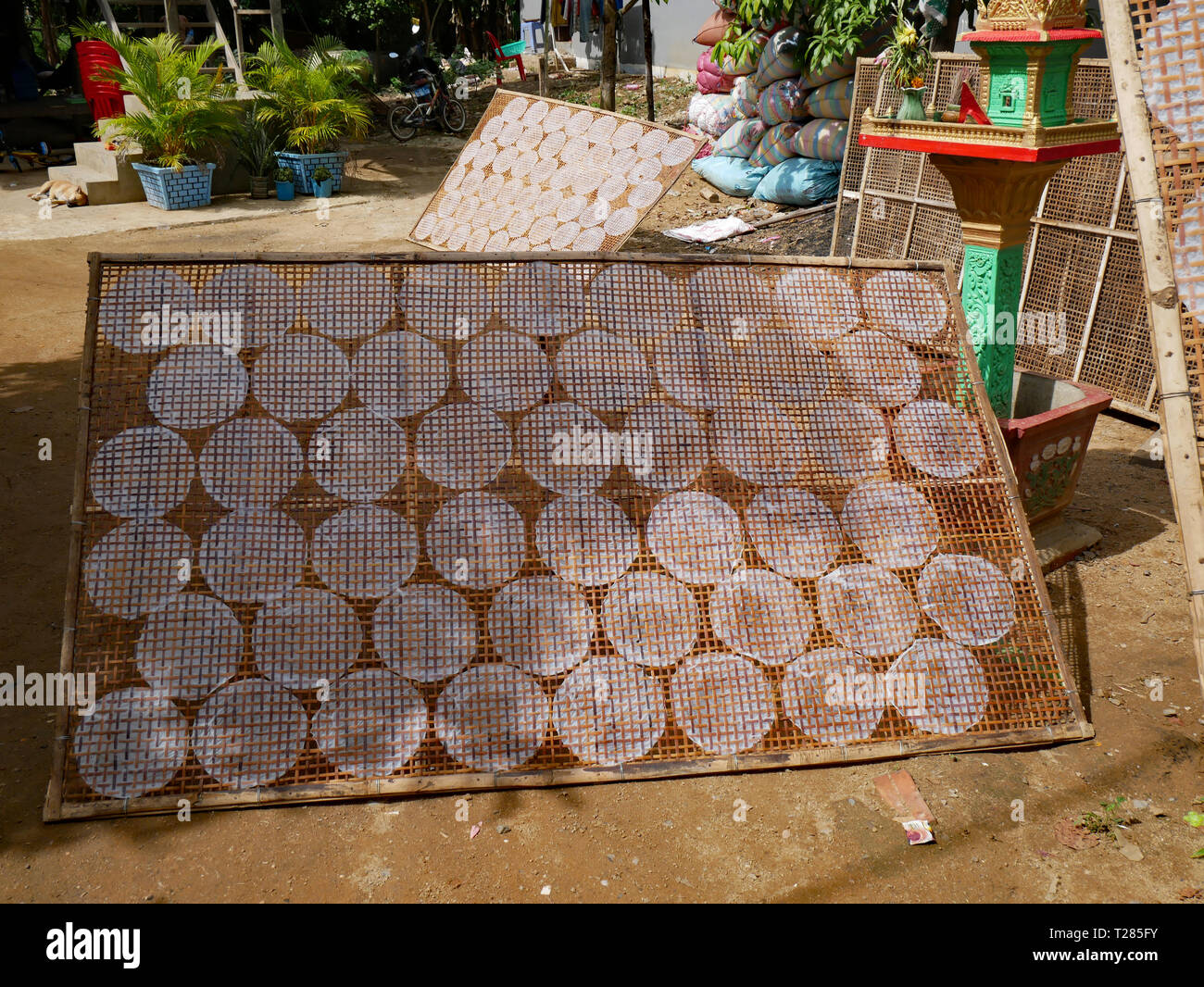 Battambang, Camboya. La industria artesanal de Camboya. Papel de arroz  translúcido de secado al sol sobre un entramado de ratán 10-12-2018  Fotografía de stock - Alamy