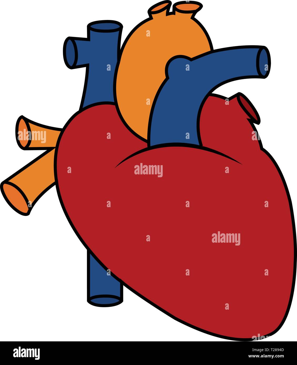 Resumen Corazon Humano Imagen Vector De Stock Alamy