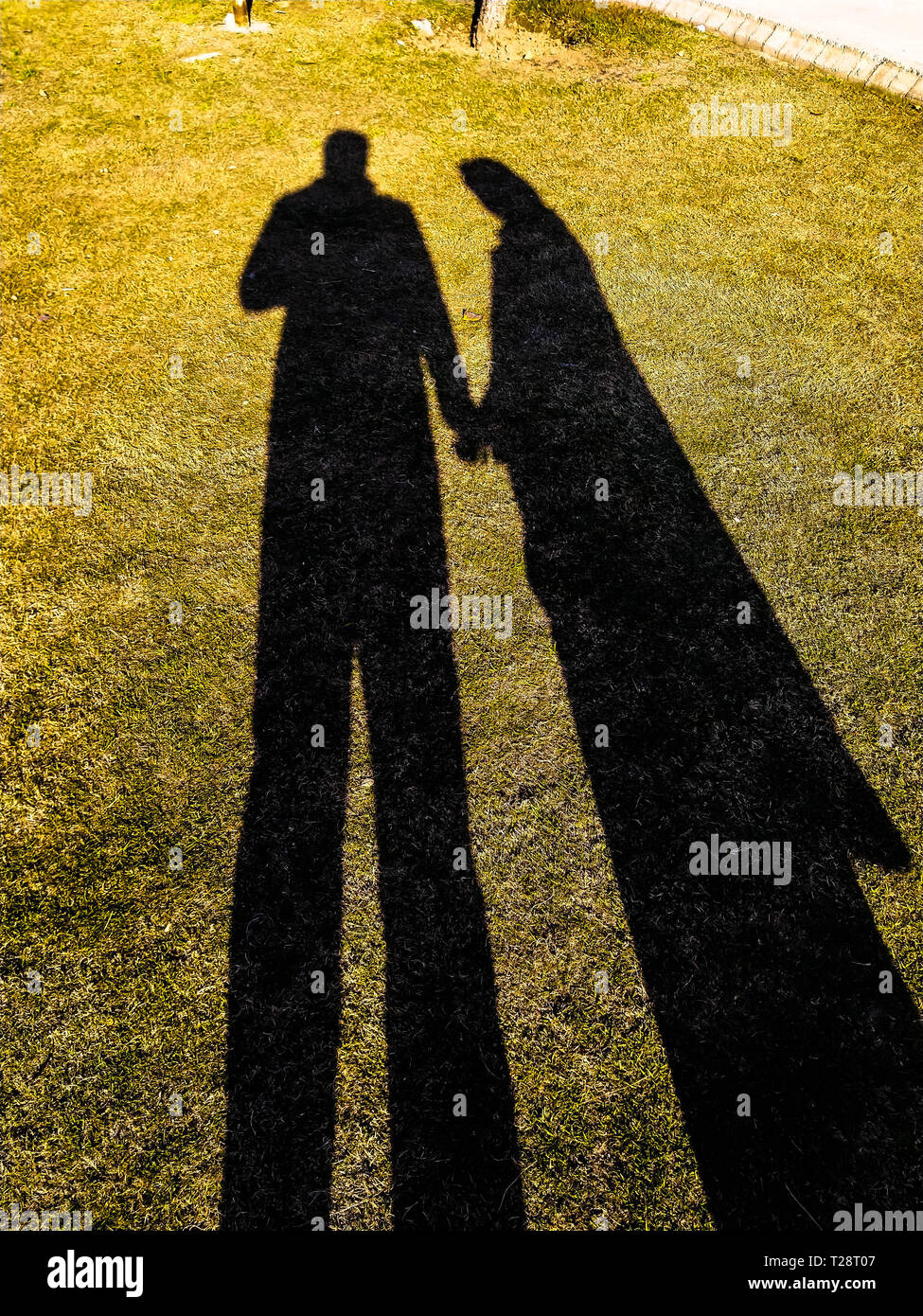 La sombra de un hombre y una mujer en el amor cogidos de la mano en un jardín. Foto de stock