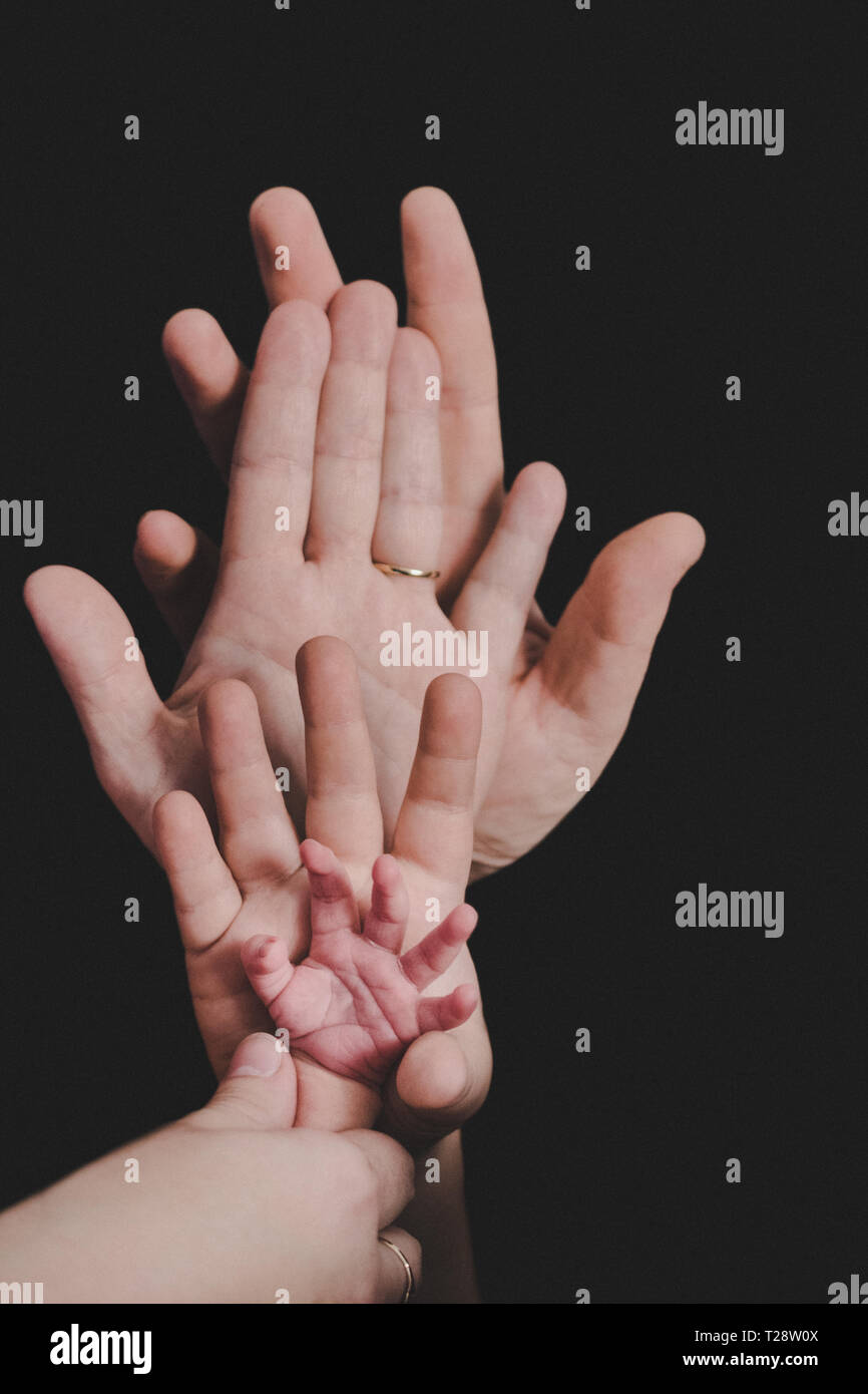 Manos De Toda La Familia El Padre La Madre El Hijo Y Un Bebe Amable Familia Feliz Fotografia De Stock Alamy