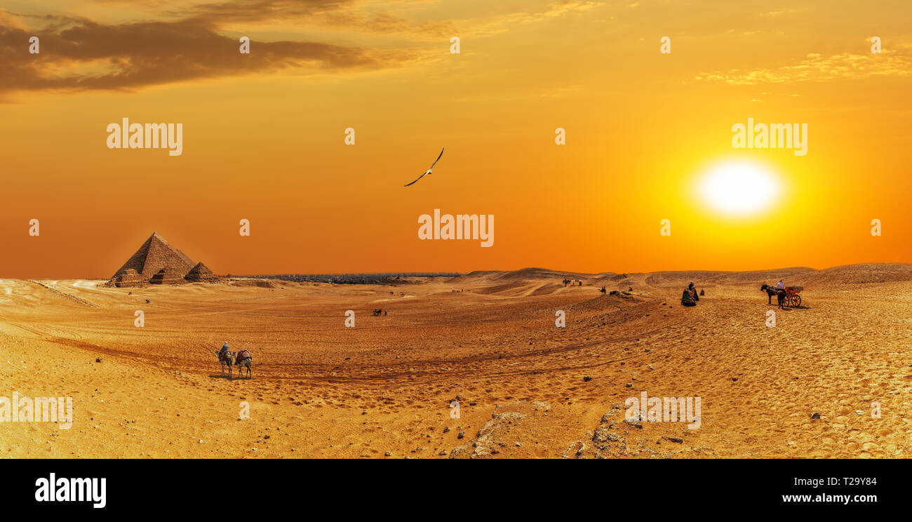 Panorama del desierto de Giza con las pirámides y los beduinos Foto de stock