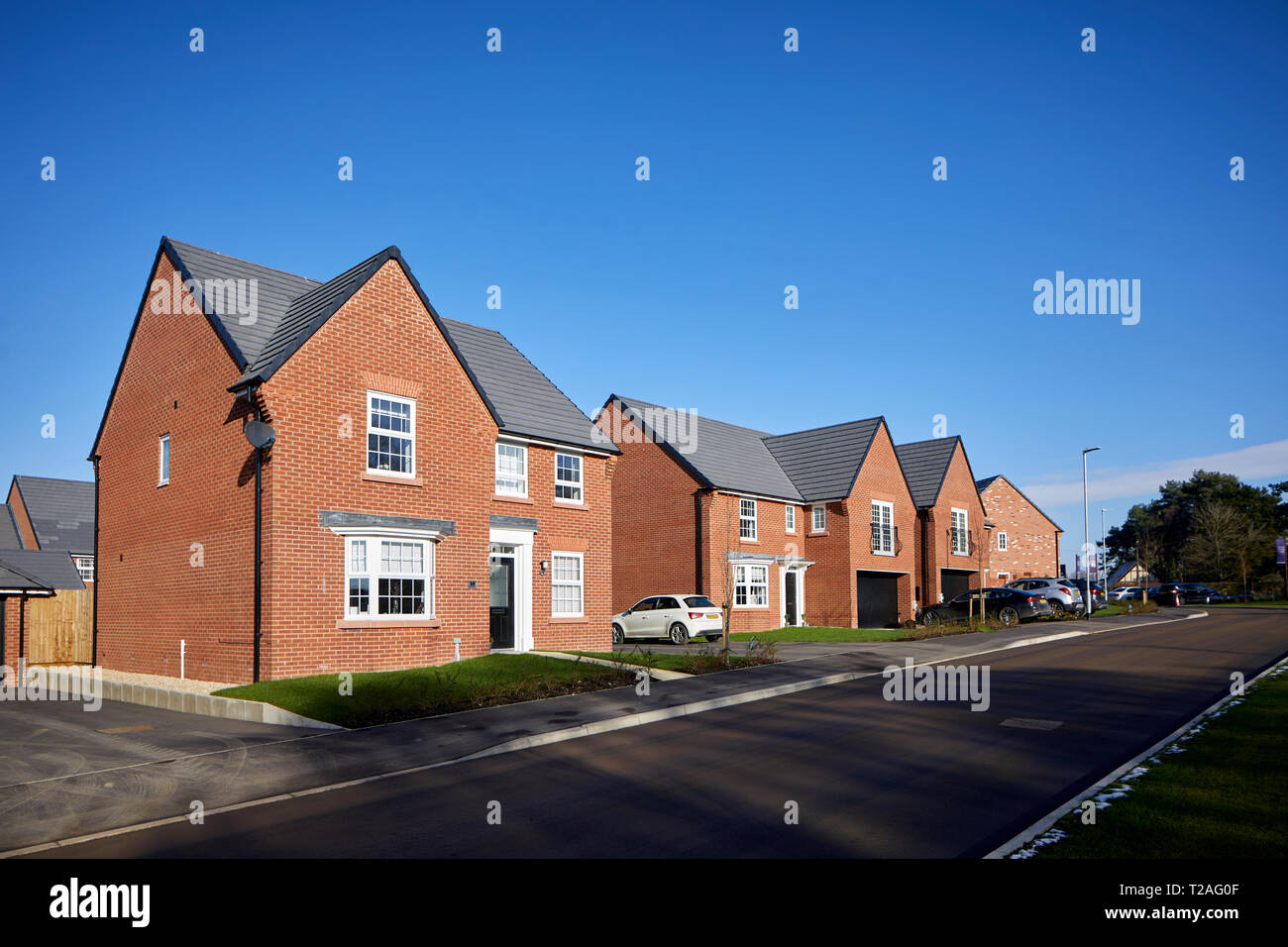 DAVID WILSON HOMES casas de nueva construcción en el Black Firs Park, Congleton en Cheshire Foto de stock
