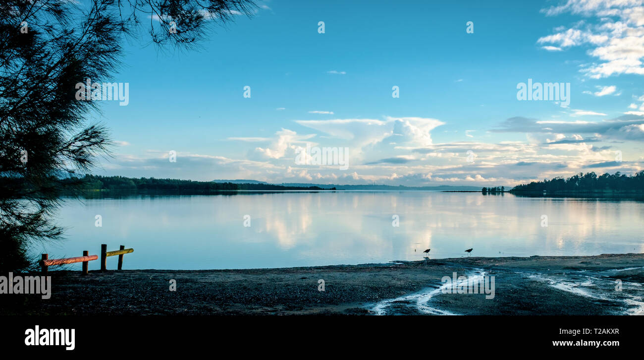Después de la tormenta una panorámica vista temprano en la mañana de reflexiones y aves zancudas atravesando el lago Illawarra, Koona Bay, Nueva Gales del Sur (NSW, Australia Foto de stock