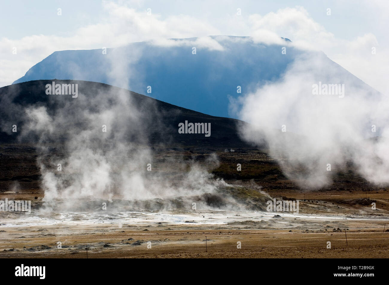 La energía térmica se vaporiza desde el suelo de Islandia cerca de Myvatn. Foto de stock