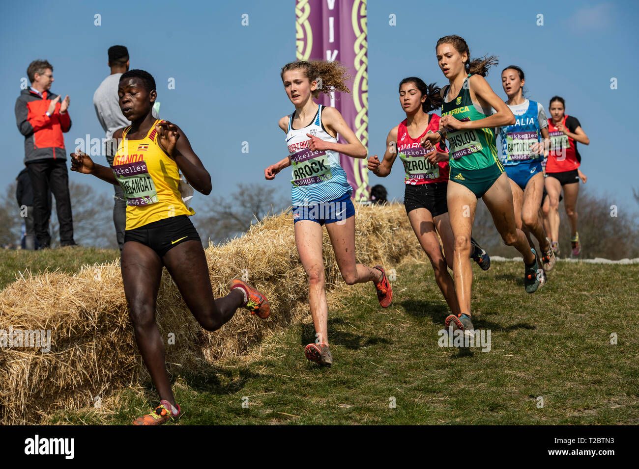 AARHUS, Dinamarca - 30 de marzo: Gracia Brock de Gran Bretaña compitiendo en la carrera de la mujer U20 en el Campeonato Mundial de la IAAF Cross Country el 30 de marzo Foto de stock