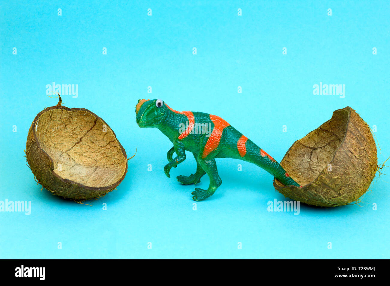 Dinosaurio y cáscara de coco, nacimiento de dinosaurios , huevo de dinosaurio, Creative Art Foto de stock