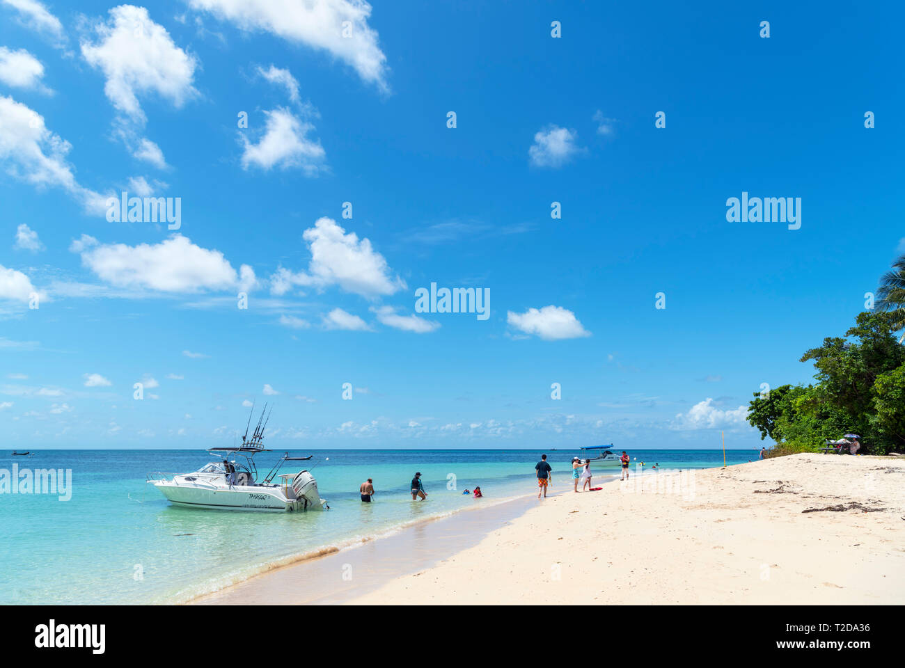 La Gran Barrera de Coral de Australia. Playa de Isla Verde, un coral cay en el Parque Marino de la Gran Barrera de Coral, Queensland, Australia Foto de stock