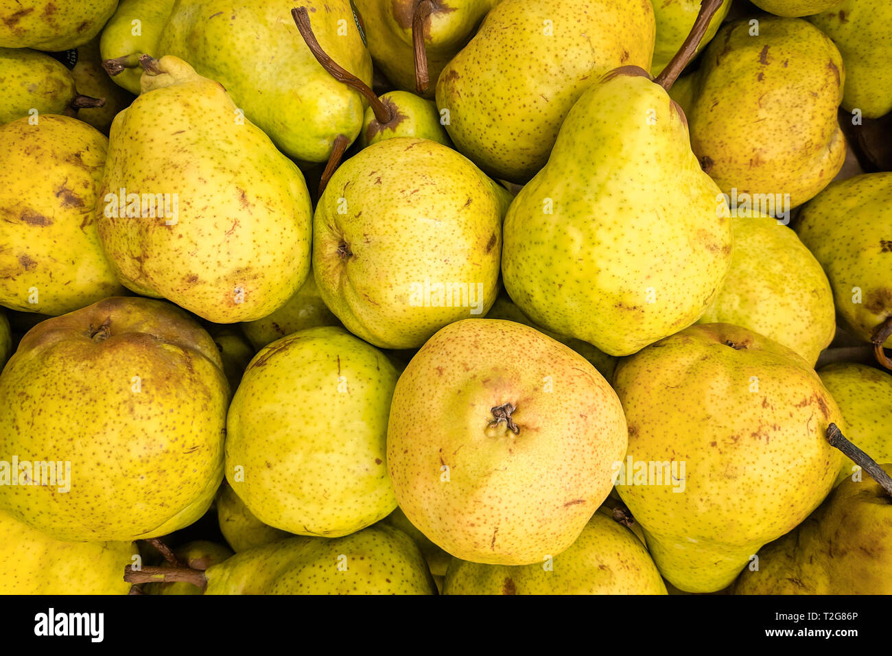 Antecedentes amarillos en forma de pera. Peares fresca variedad cultivada en la tienda. Adecuado para el jugo de pera, strudel, puré de pera, compota Foto de stock