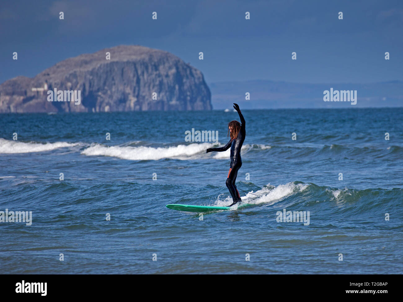 Surfers de Belhaven Bay con Bass Rock en segundo plano, Dunbar, Escocia, Reino Unido, Europa Foto de stock