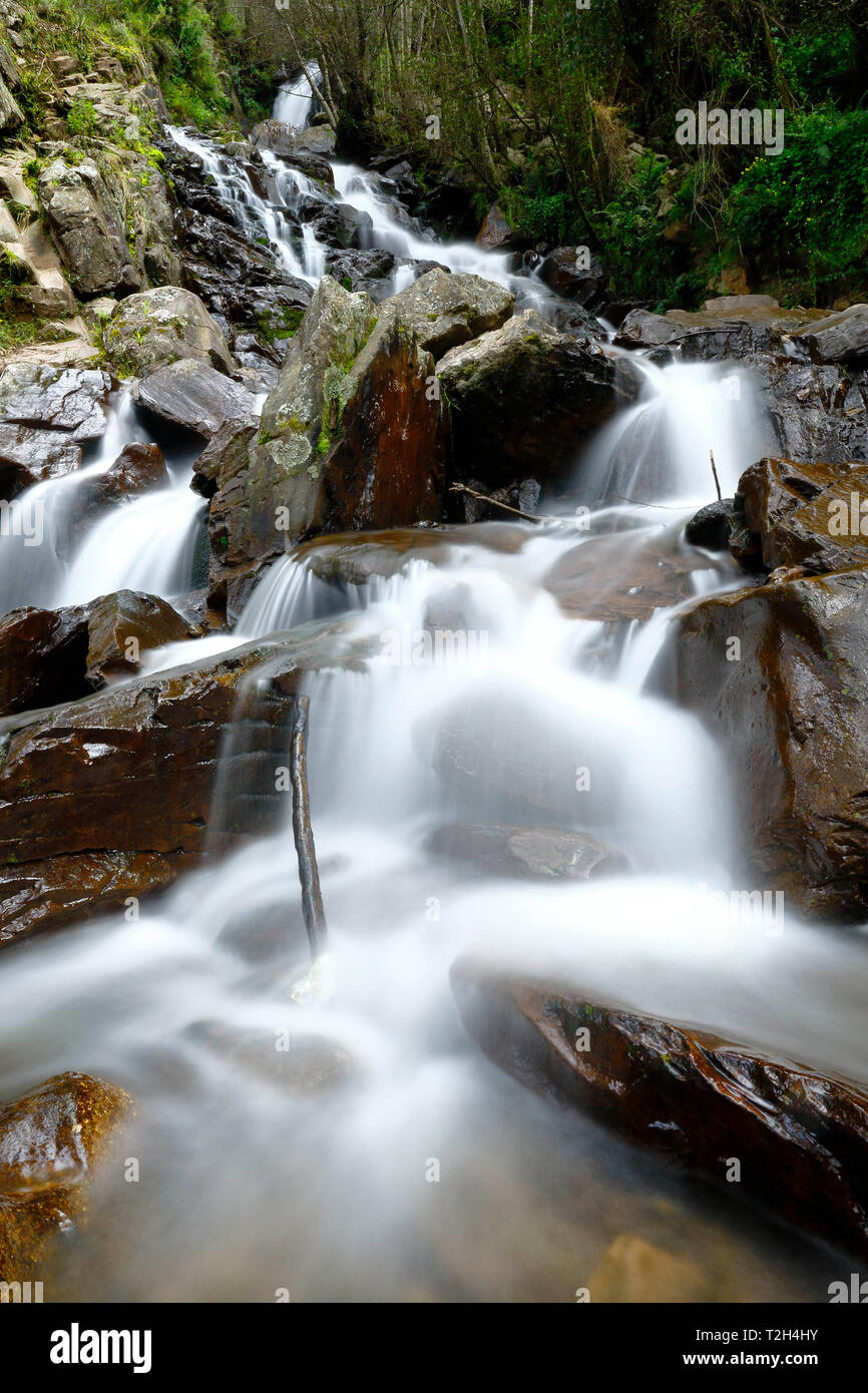 Hermosa caída de agua natural en el interior de bosque andino en una corriente denominada Miraflores situado en las montañas. Foto de stock