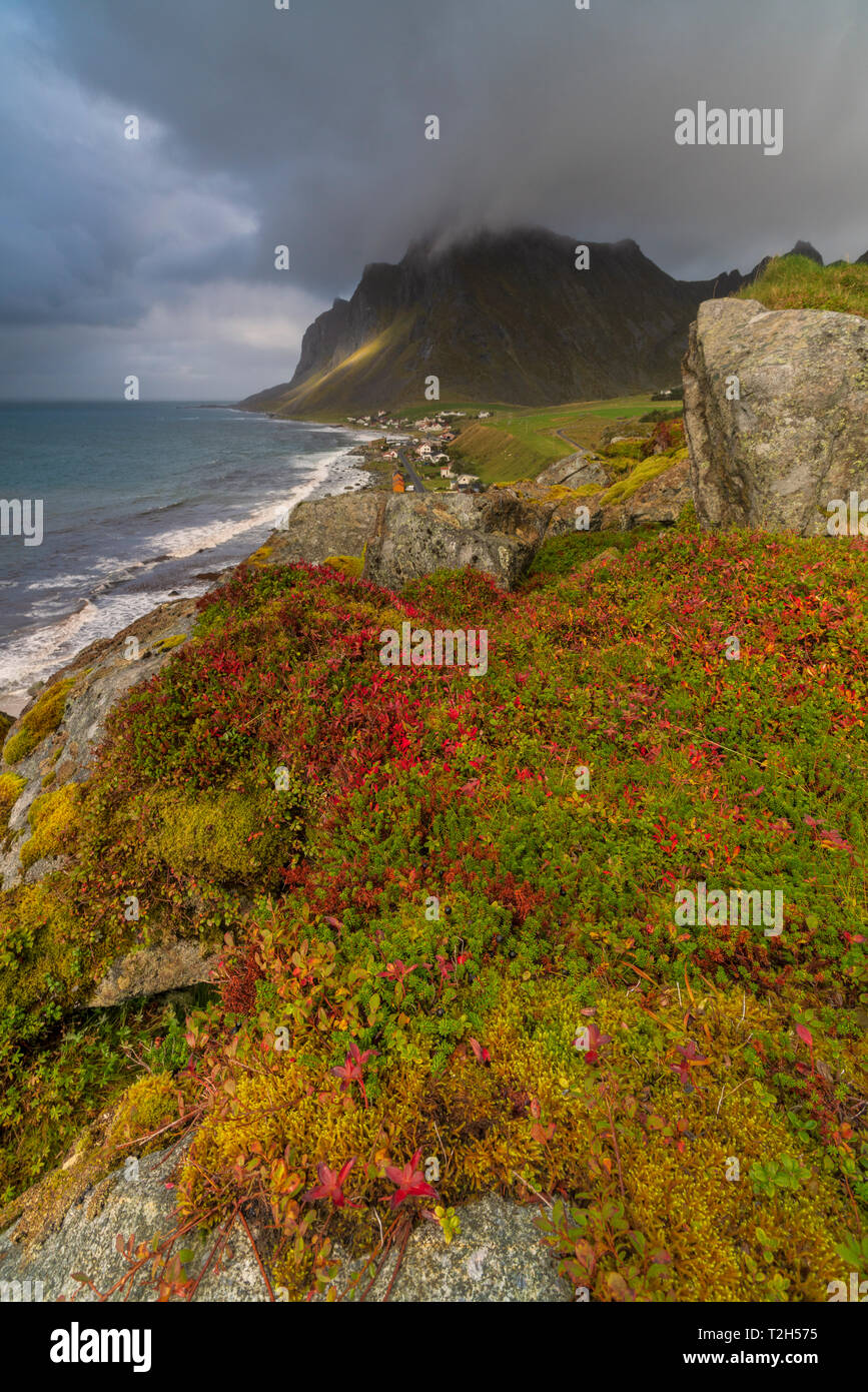 Costa de Vikten, Islas Lofoten, Noruega, Europa Foto de stock