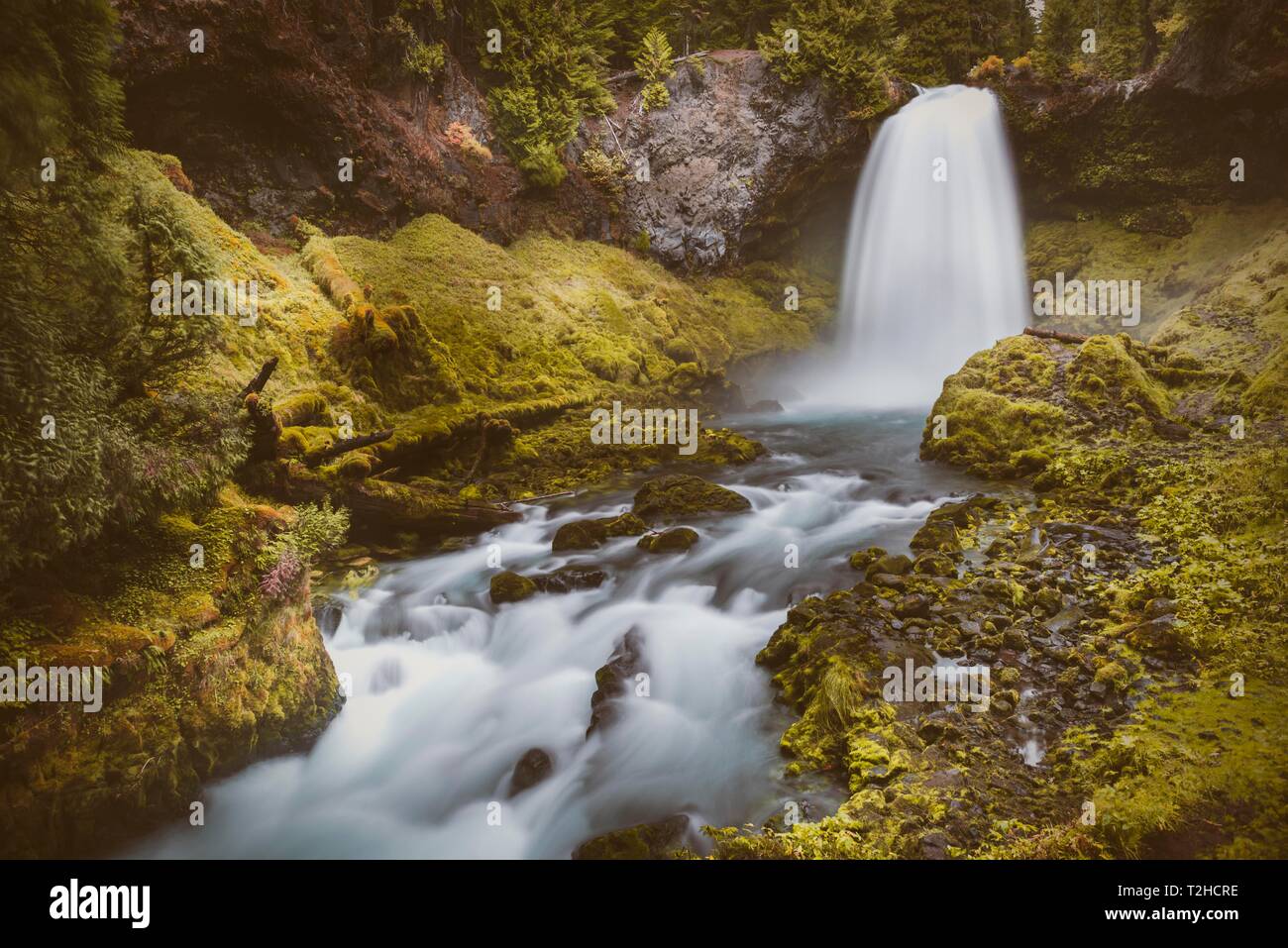 Cascada, la exposición a largo plazo, Sahalie Falls, Oregón, EE.UU. Foto de stock