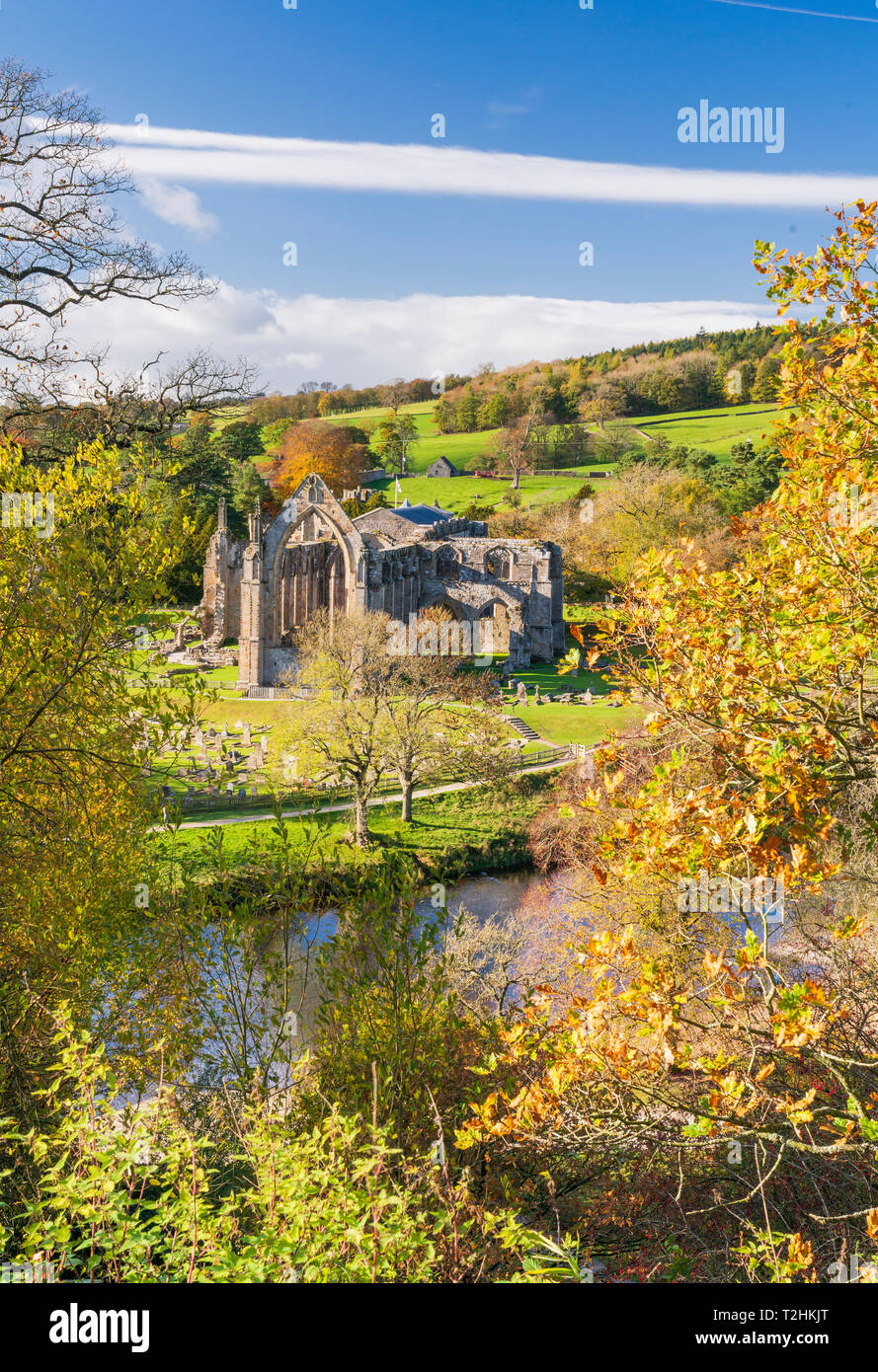 Bolton Abbey y el Río Wharfe, en la parte inferior de Wharfedale, el Yorkshire Dales National Park, Enhland, Reino Unido, Europa Foto de stock