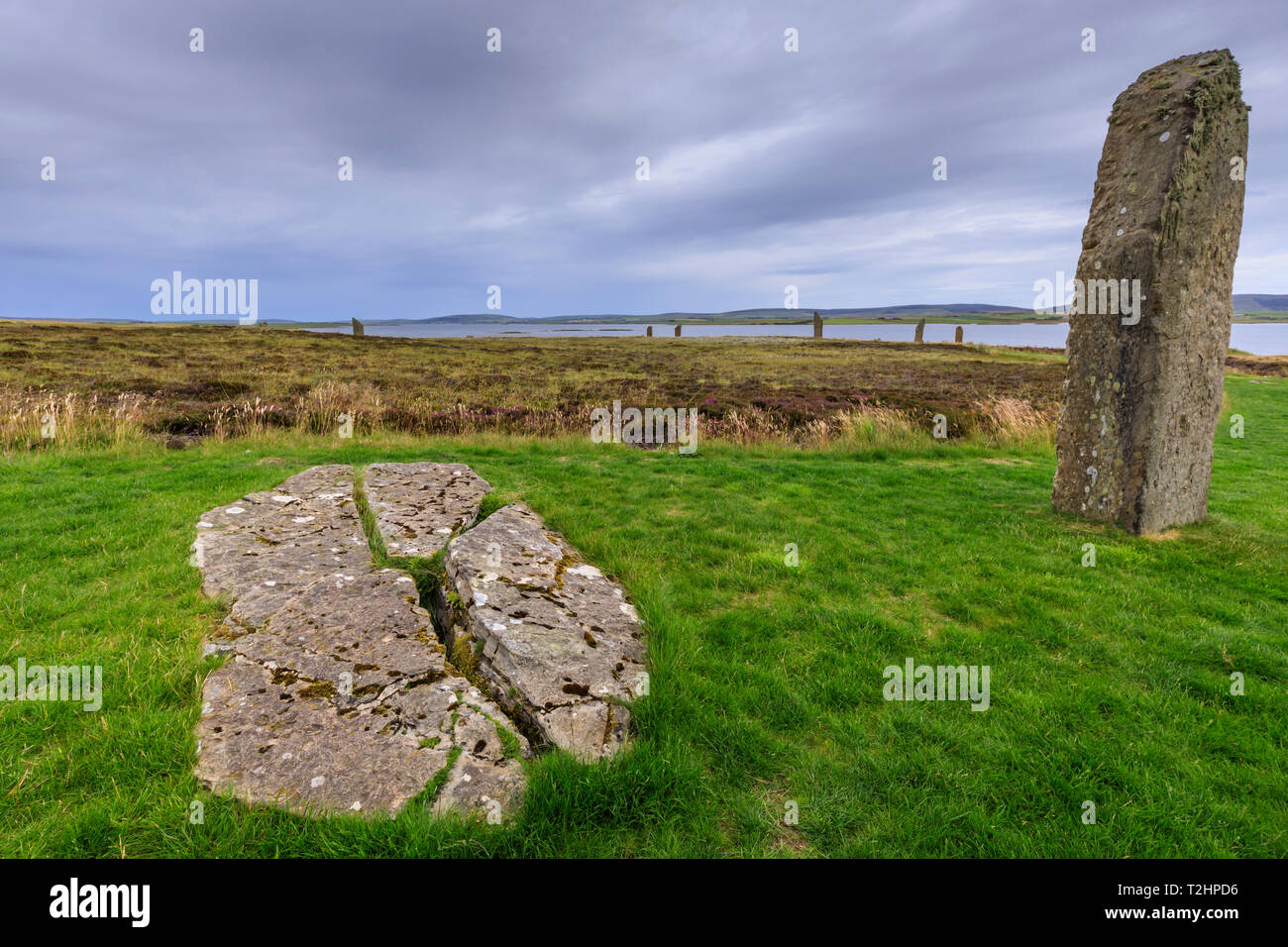 Anillo de Brodgar círculo de piedra en las Islas Orkney, Escocia, Europa Foto de stock