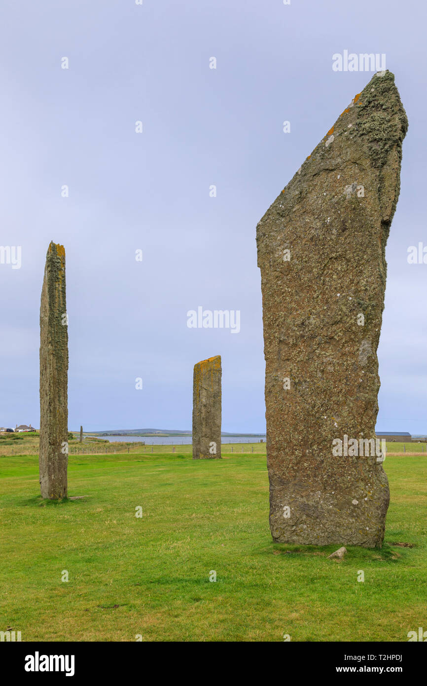 Piedras de Stenness permanente en las Islas Orkney, Escocia, Europa Foto de stock