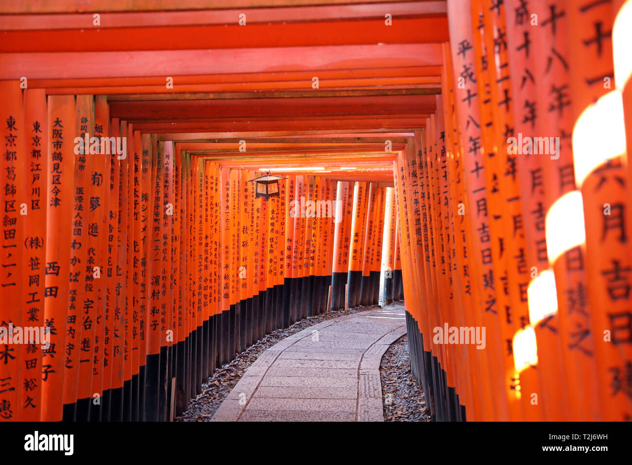 Túnel de Torii Senbon naranja gates en Fushimi Inari santuario sintoísta en Kioto, Japón Foto de stock