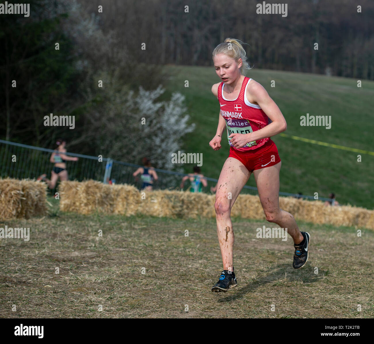 Las mujeres mayores de la raza, el Campeonato Mundial de la IAAF Cross Country 2019 Foto de stock