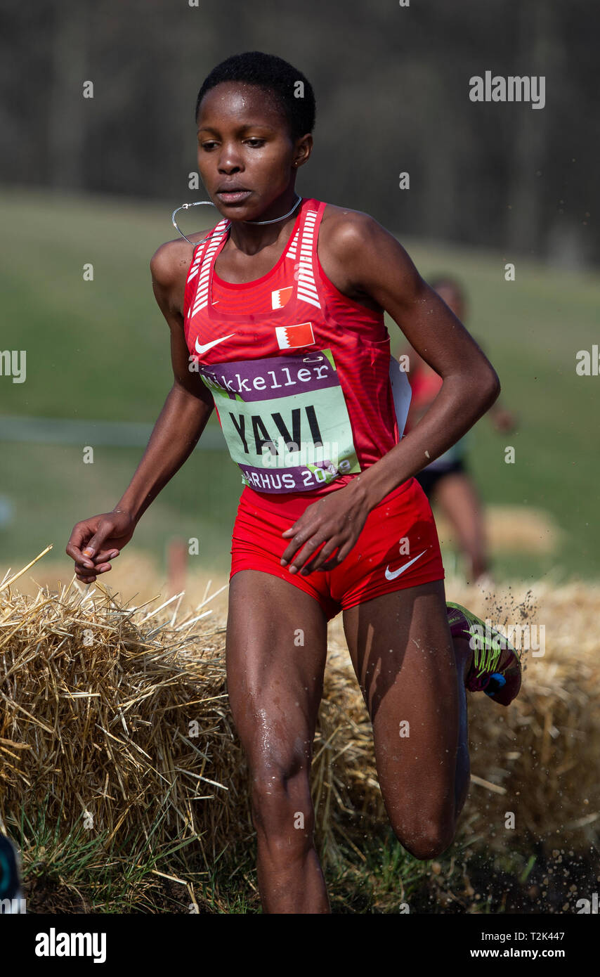 Las mujeres mayores de la raza, el Campeonato Mundial de la IAAF Cross Country 2019 Foto de stock