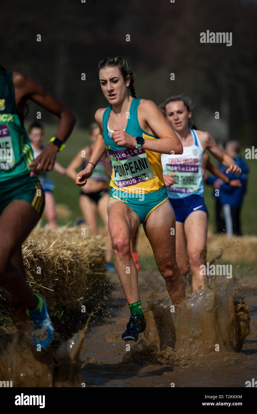 Las mujeres mayores de la raza, el Campeonato Mundial de la IAAF Cross Country 2019 Foto de stock