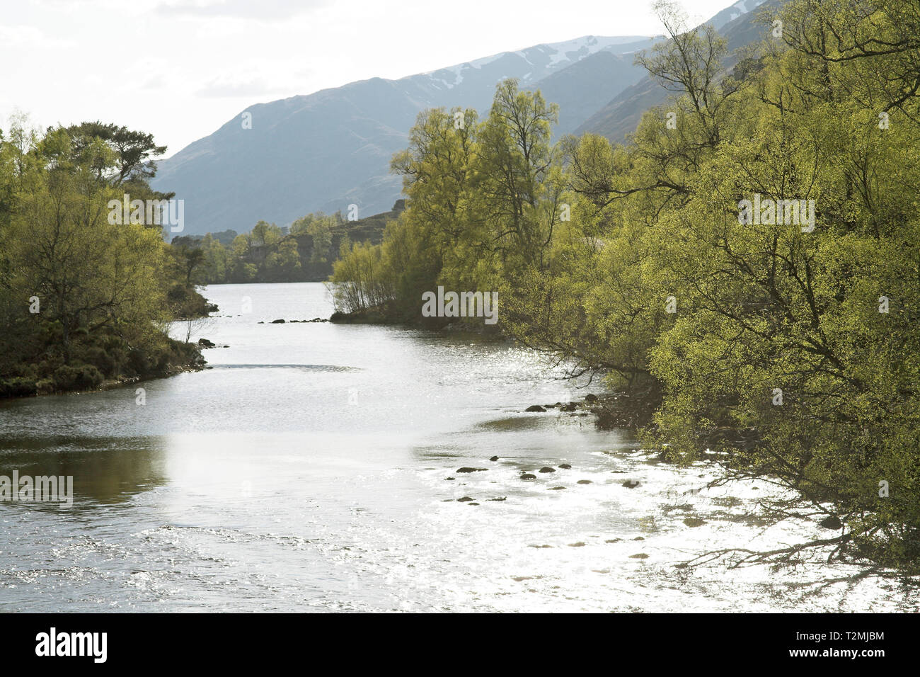 River en Glen Affric Reserva Natural Glen Affric región de Tierras Altas de Escocia Foto de stock