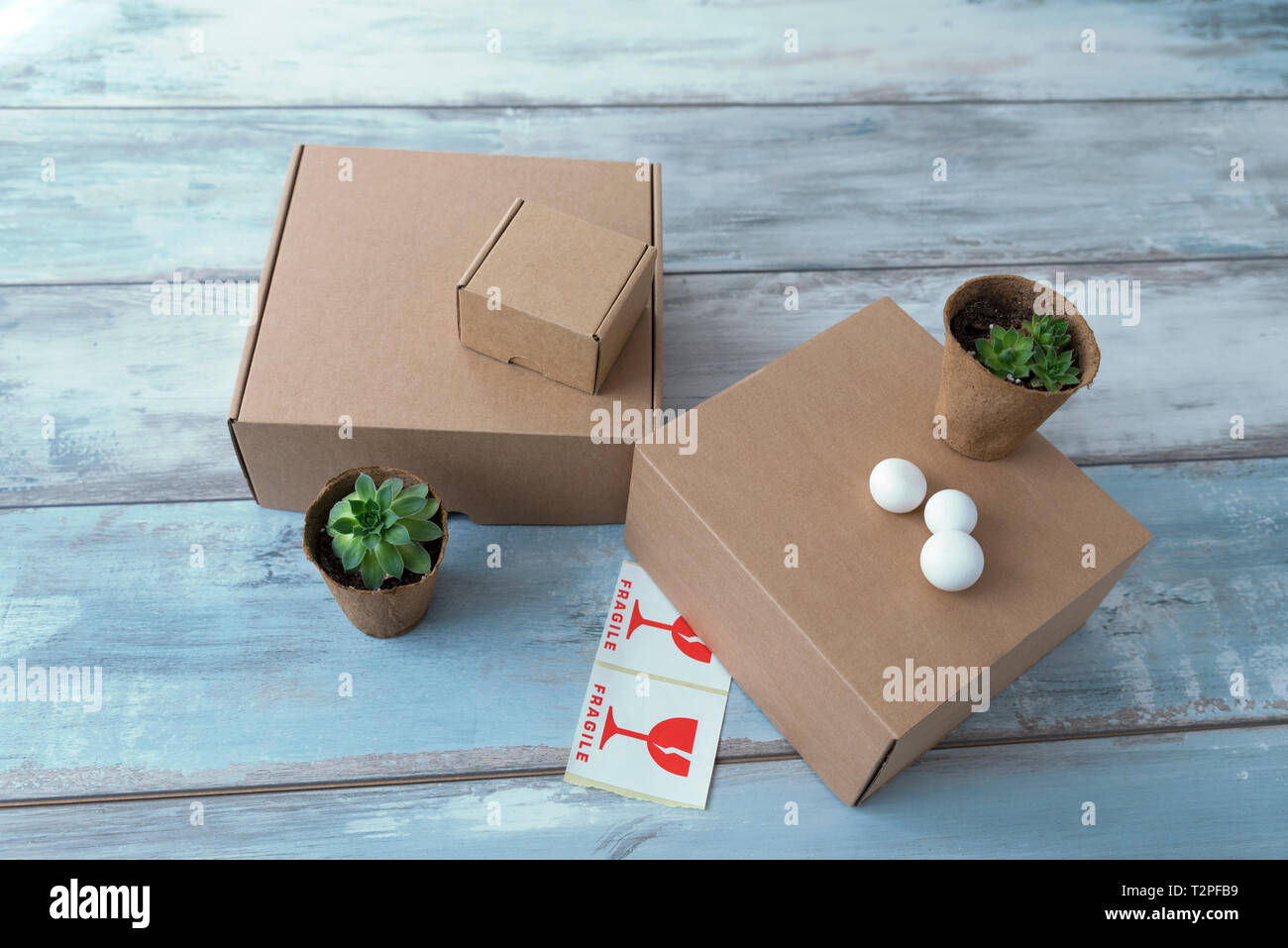 Tres diferentes tamaños de cajas de cartón y dos macetas con plantas verdes  y frágiles signos enfoque selectivo Fotografía de stock - Alamy