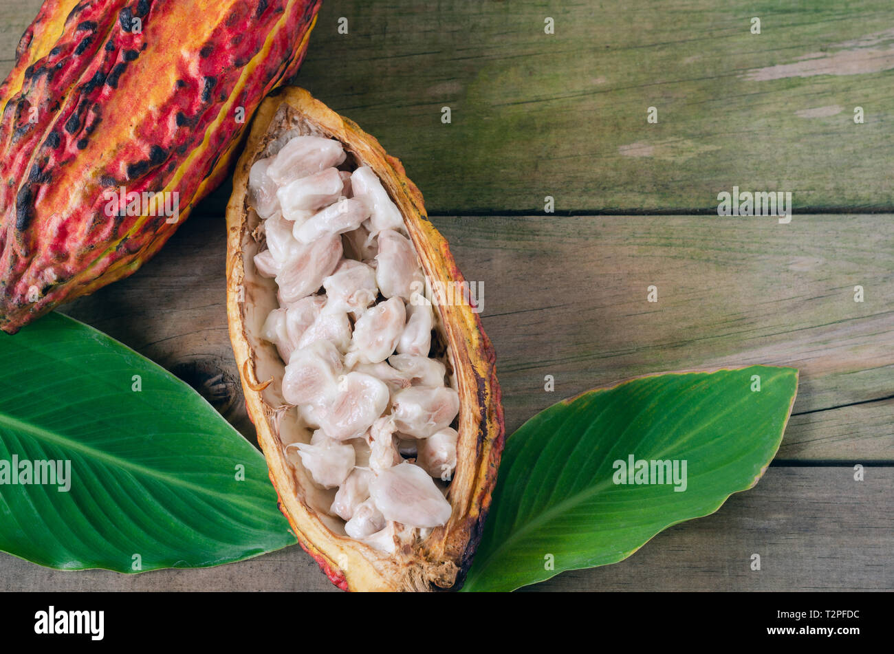 Abra el cacao cob sobre fondo de madera. Espacio para copiar. Vista desde arriba. Foto de stock