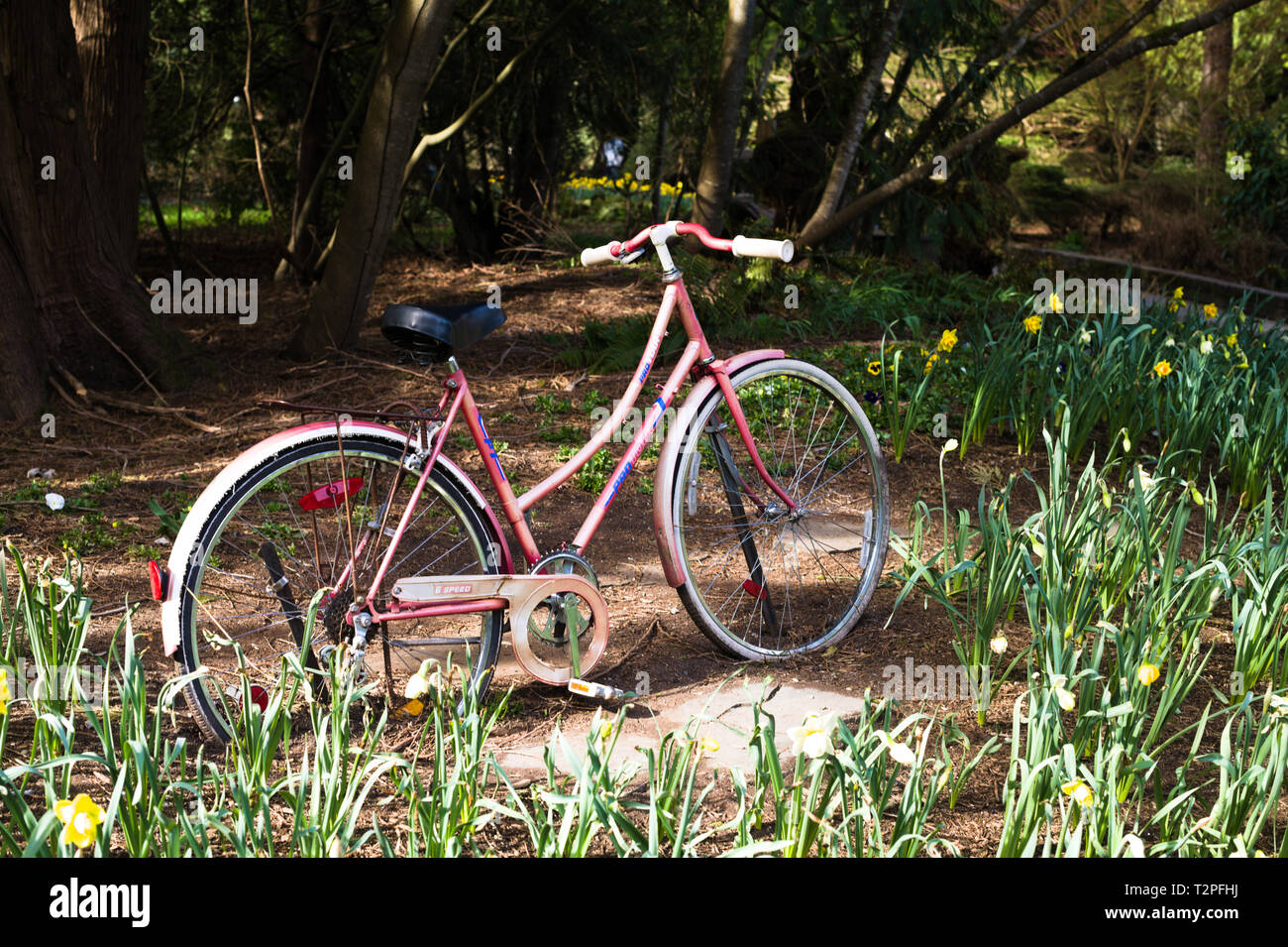 Una Vieja Bicicleta se erige como un Ornamento Jardín en Bear Creek Park, Surrey, British Columbia, Canadá Foto de stock