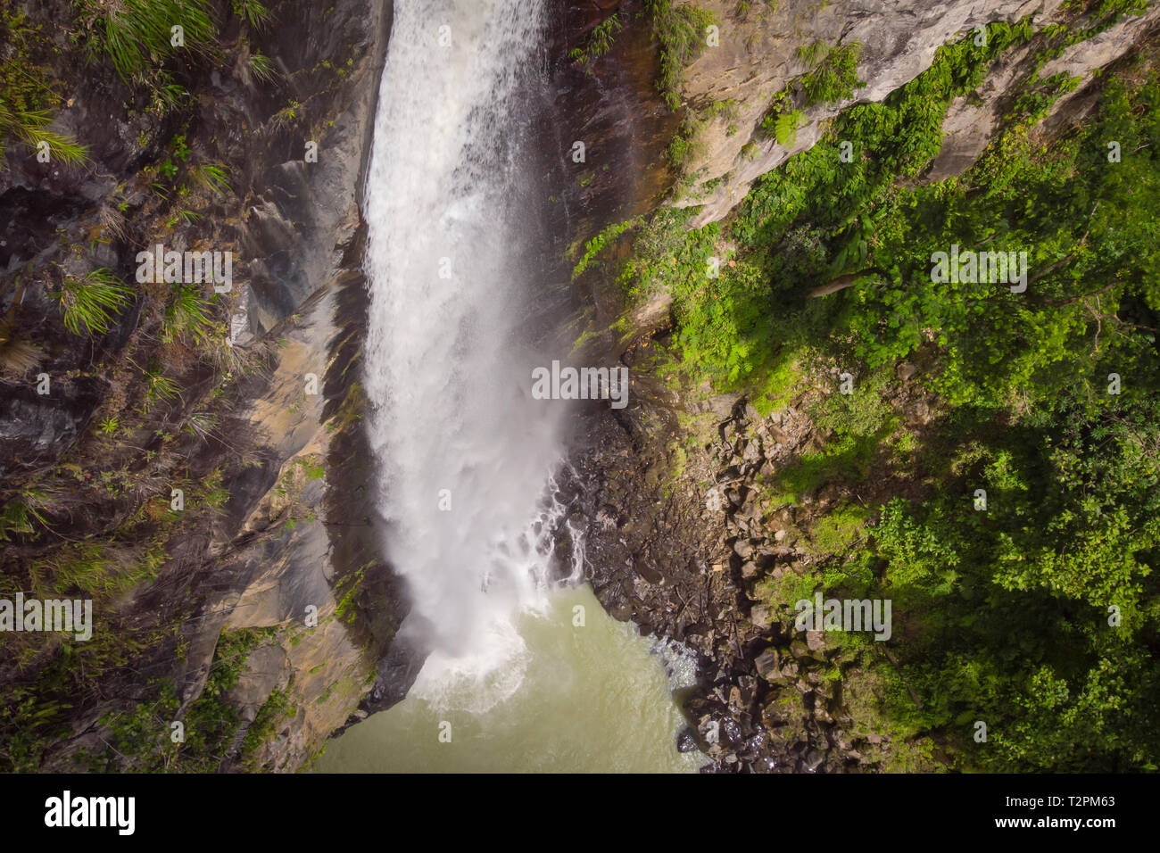 Trafalgar Falls, el Parque Nacional Morne Trois Pitons, Dominica Foto de stock