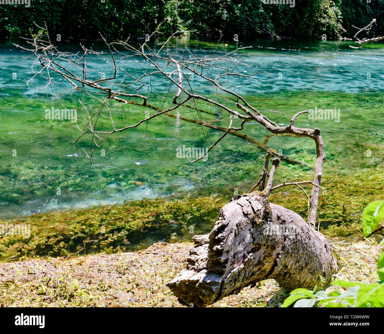 Blue Eye Primavera - Albania Foto de stock