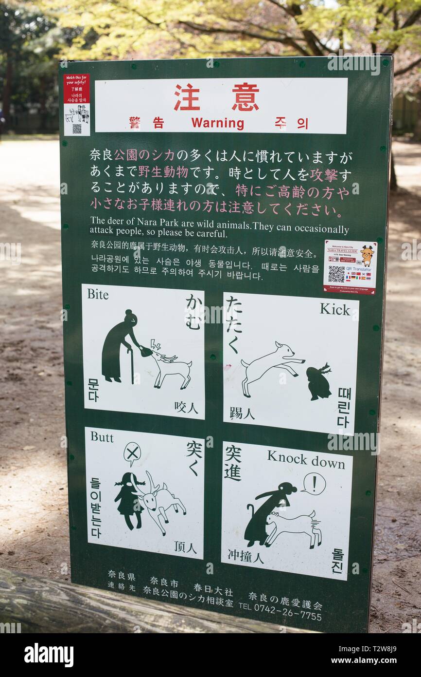 Un signo de advertencia de posibles comportamientos agresivos en los ciervos, en Nara, Japón. Foto de stock