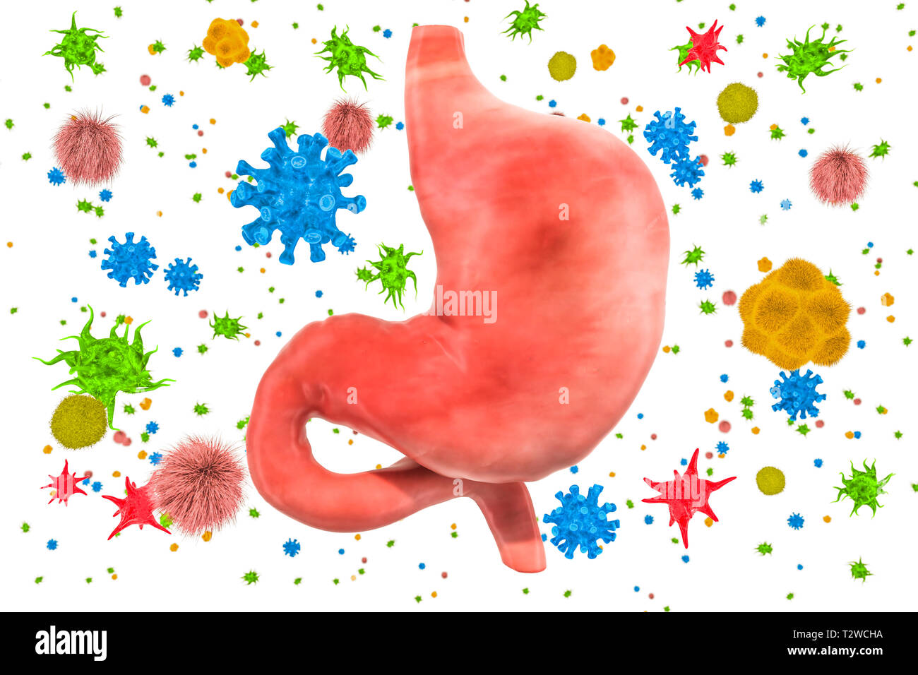 Estómago con virus y bacterias. Concepto de enfermedad del estómago, 3D rendering aislado sobre fondo blanco. Foto de stock