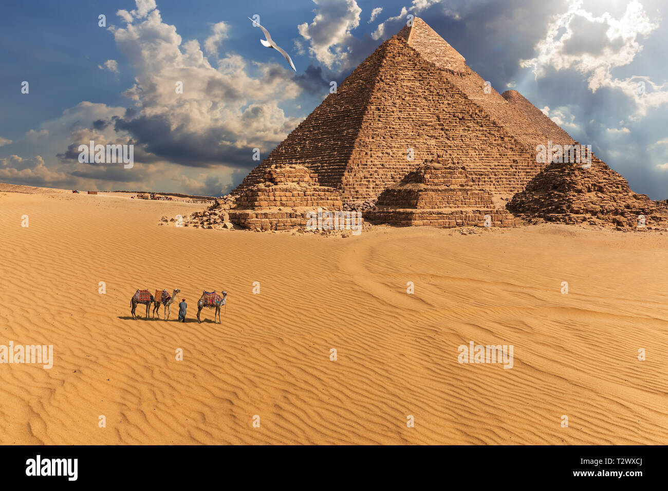Las pirámides de Giza y camellos en el desierto bajo las nubes, Egipto. Foto de stock